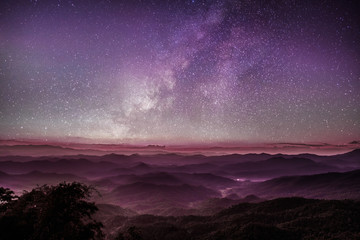 中考生物必背知识点